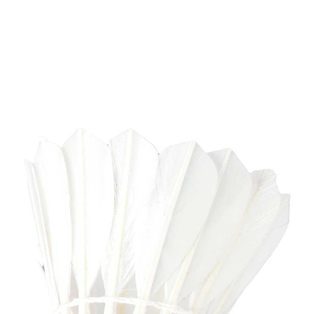 ยางยืดสำหรับกีฬา ไม้แบดมินตันค - Feather Shuttlecock บทวิจารณ์และราคา